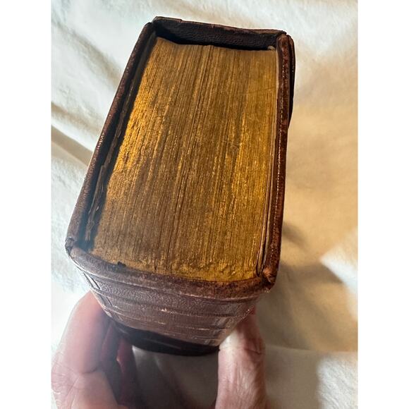 De Staten Generael Vereenighde Nederlanden 1637   Dutch antique Bible - Picture 14 of 16